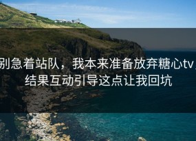 别急着站队，我本来准备放弃糖心tv，结果互动引导这点让我回坑