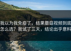 我以为我免疫了，结果蘑菇视频到底怎么选？我试了三天，结论出乎意料