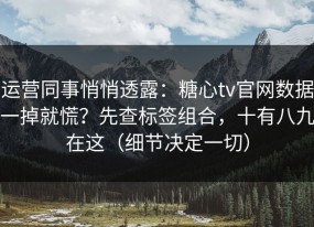运营同事悄悄透露：糖心tv官网数据一掉就慌？先查标签组合，十有八九在这（细节决定一切）