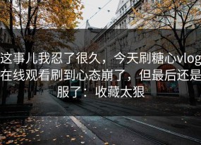 这事儿我忍了很久，今天刷糖心vlog在线观看刷到心态崩了，但最后还是服了：收藏太狠