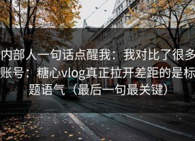 内部人一句话点醒我：我对比了很多账号：糖心vlog真正拉开差距的是标题语气（最后一句最关键）