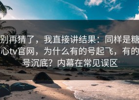 别再猜了，我直接讲结果：同样是糖心tv官网，为什么有的号起飞，有的号沉底？内幕在常见误区