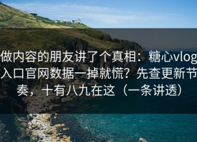 做内容的朋友讲了个真相：糖心vlog入口官网数据一掉就慌？先查更新节奏，十有八九在这（一条讲透）