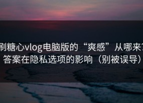 刷糖心vlog电脑版的“爽感”从哪来？答案在隐私选项的影响（别被误导）