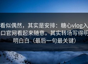 看似偶然，其实是安排：糖心vlog入口官网看起来随意，其实转场写得明明白白（最后一句最关键）