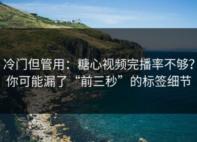 冷门但管用：糖心视频完播率不够？你可能漏了“前三秒”的标签细节