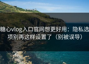 糖心vlog入口官网想更好用：隐私选项别再这样设置了（别被误导）