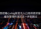 想把糖心vlog新官方入口用得更舒服：缓存管理的误区这一步别跳过