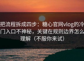 把流程拆成四步：糖心官网vlog的冷门入口不神秘，关键在规则边界怎么理解（不服你来试）