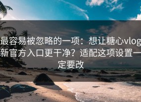 最容易被忽略的一项：想让糖心vlog新官方入口更干净？适配这项设置一定要改