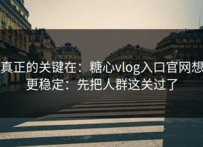 真正的关键在：糖心vlog入口官网想更稳定：先把人群这关过了