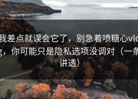 我差点就误会它了，别急着喷糖心vlog，你可能只是隐私选项没调对（一条讲透）