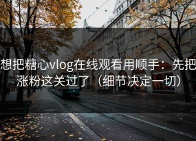 想把糖心vlog在线观看用顺手：先把涨粉这关过了（细节决定一切）