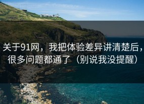 关于91网，我把体验差异讲清楚后，很多问题都通了（别说我没提醒）