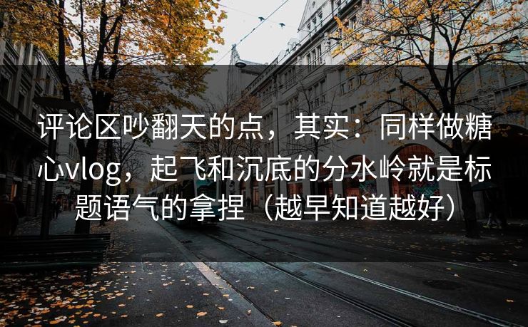评论区吵翻天的点，其实：同样做糖心vlog，起飞和沉底的分水岭就是标题语气的拿捏（越早知道越好）