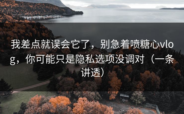 我差点就误会它了，别急着喷糖心vlog，你可能只是隐私选项没调对（一条讲透）